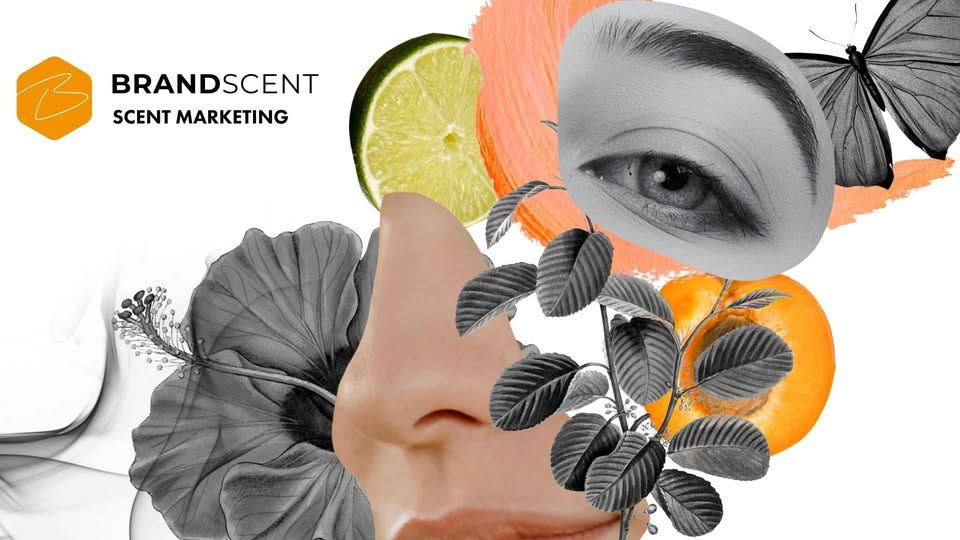 BrandScent scent marketing visual featuring fragrance-inspired imagery, citrus fruits, and sensory design to represent the power of scent in brand experiences.