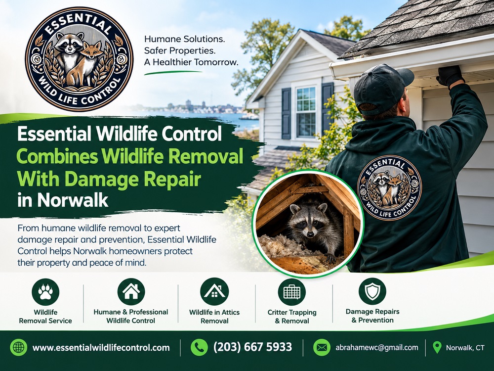 Wildlife Damage Repair