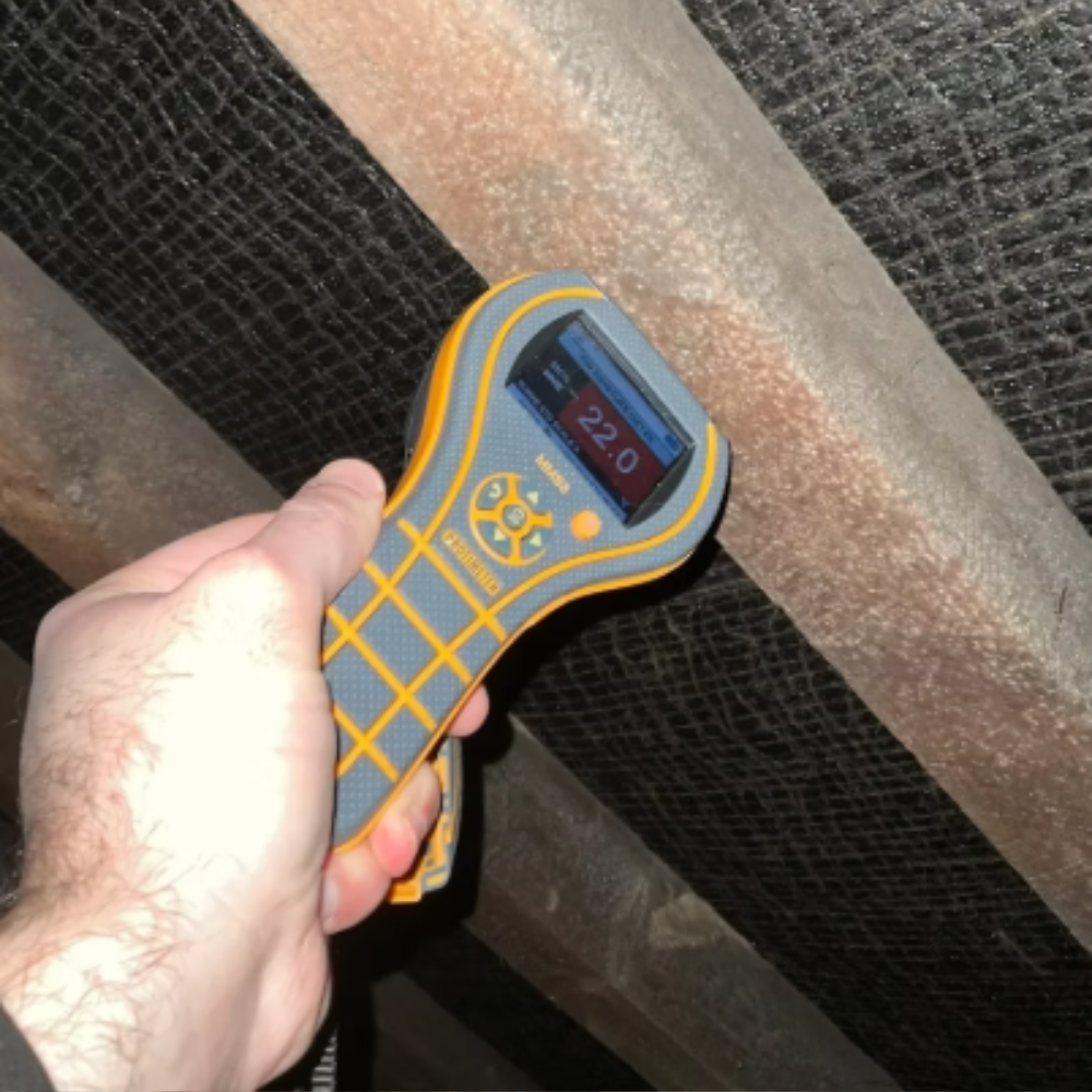 Fitzgerald Surveying Delivers Clear, Independent Damp Reports for Property Owners and Buyers