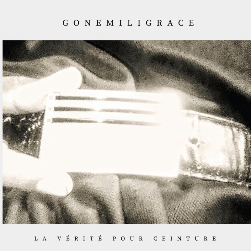 Official cover artwork for La vérité pour ceinture by Gonemili Grace