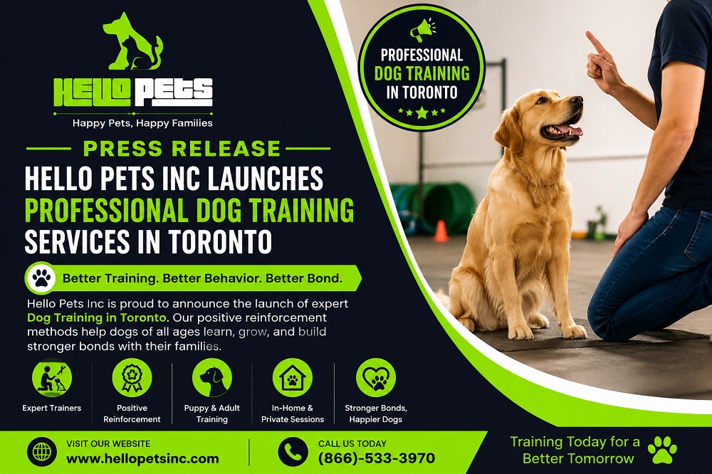 Dog Training Services in Toronto