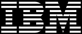 IBM Recruitment & Offer Portal Guide
