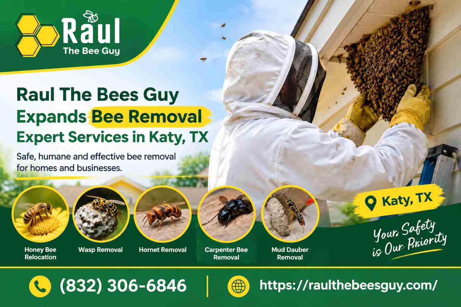 bee removal Katy