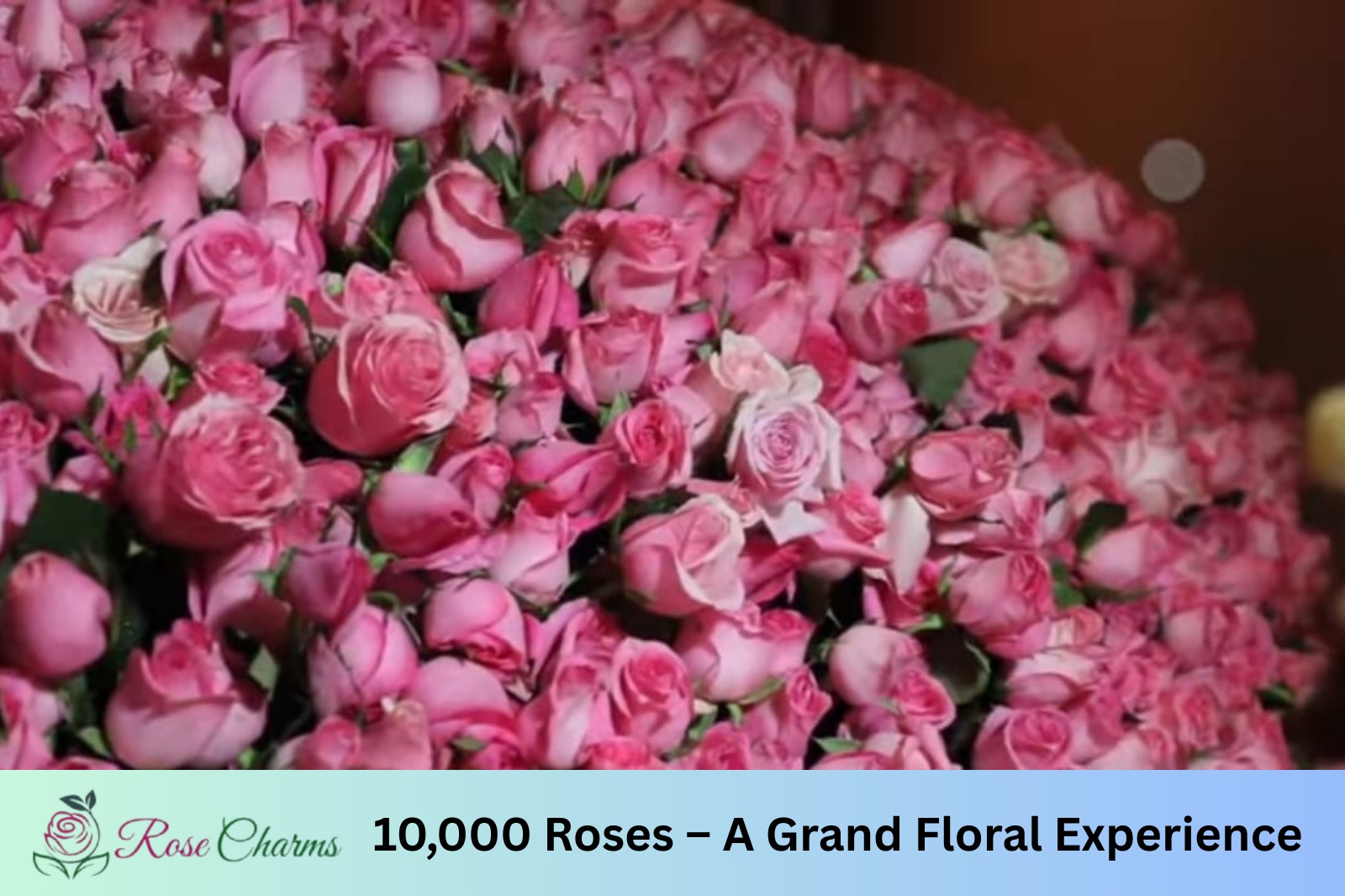 Inside the Making of a 10,000 Pink Rose Floral Masterpiece
